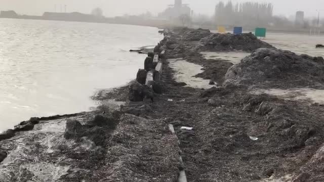 Black Sea Ukraine