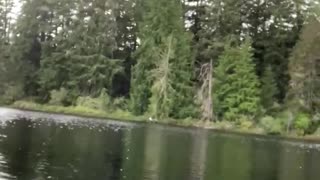 Patriot Fishing part 2-8