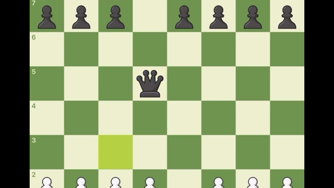 Chess video