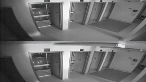 1704CRIB01CribAnalysisArea_2021-01-06_09h20min03s103ms.mp4