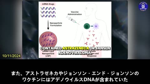 【JP】新型コロナウイルス・ワクチンは、多くのメカニズムを通じて人体に直接的なダメージを与える