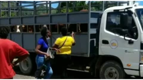 breaking news in Jamaica