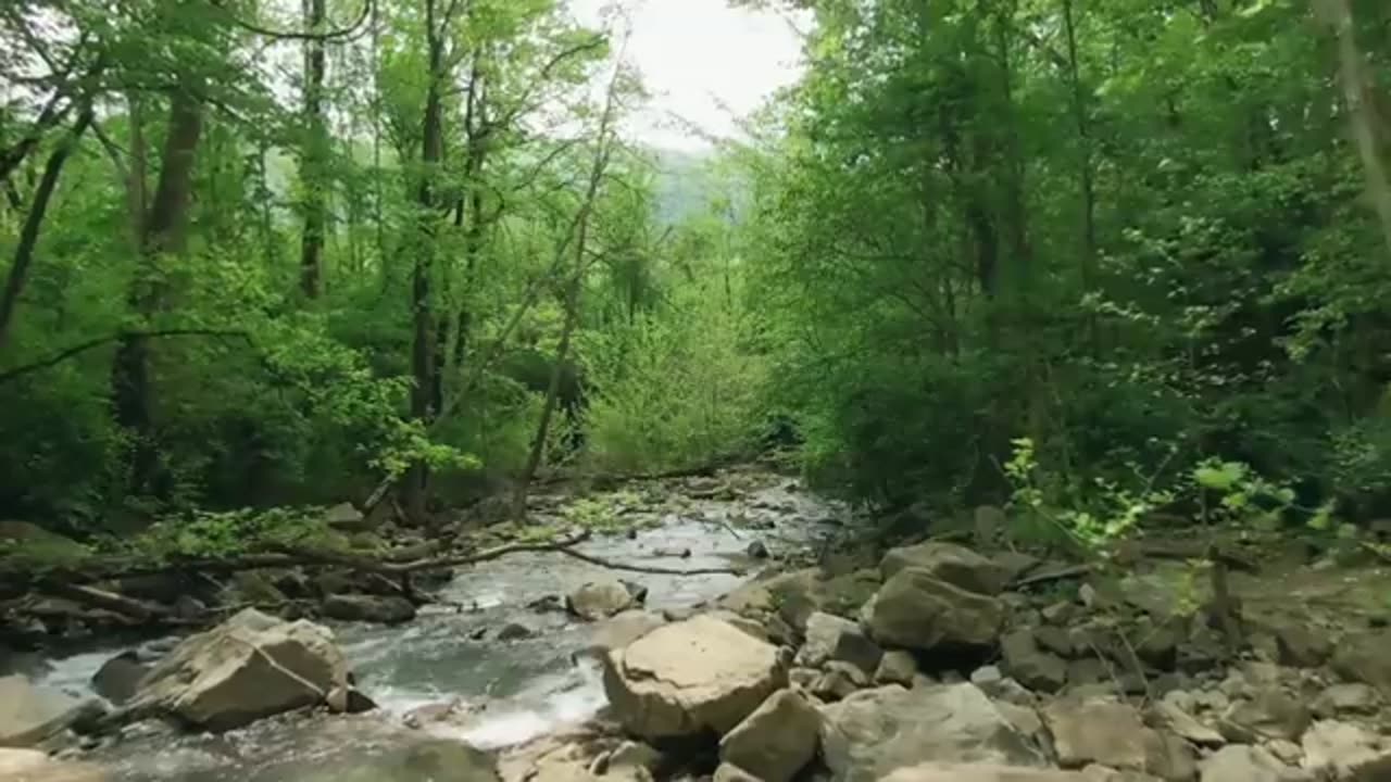 Natural betuiful