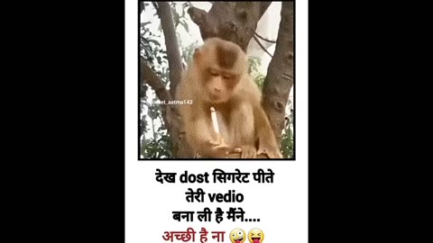 Most Funny Videos || Funny Video || Comedy Video || Meme | Memes | Funny Videos/Comedy Videos