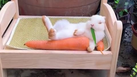 The little bunny sleeps soundly while hugging a carrot.