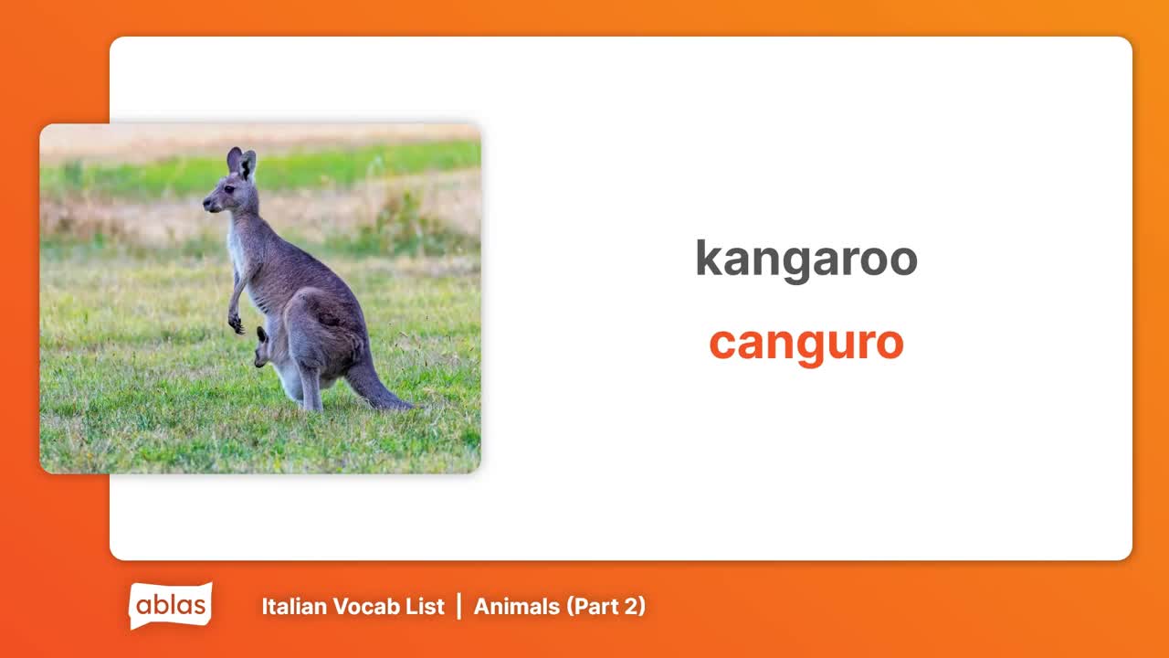 Animals | Italian Vocabulary List (Part 2)