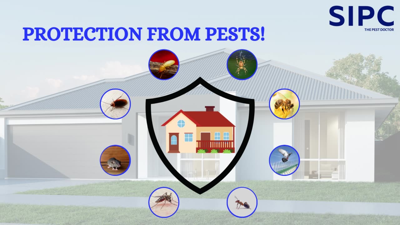 Best Pest Control Services in Cochin