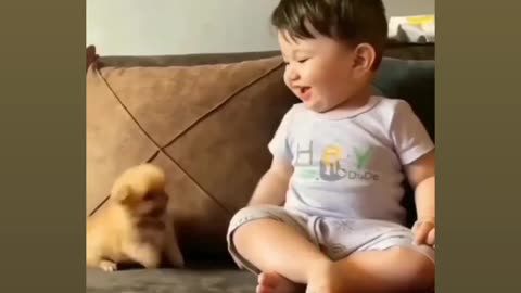 two little baby cute fight