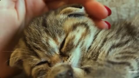 😭💖 Random Acts of Kindness That Will Make You Cry! 😭💖