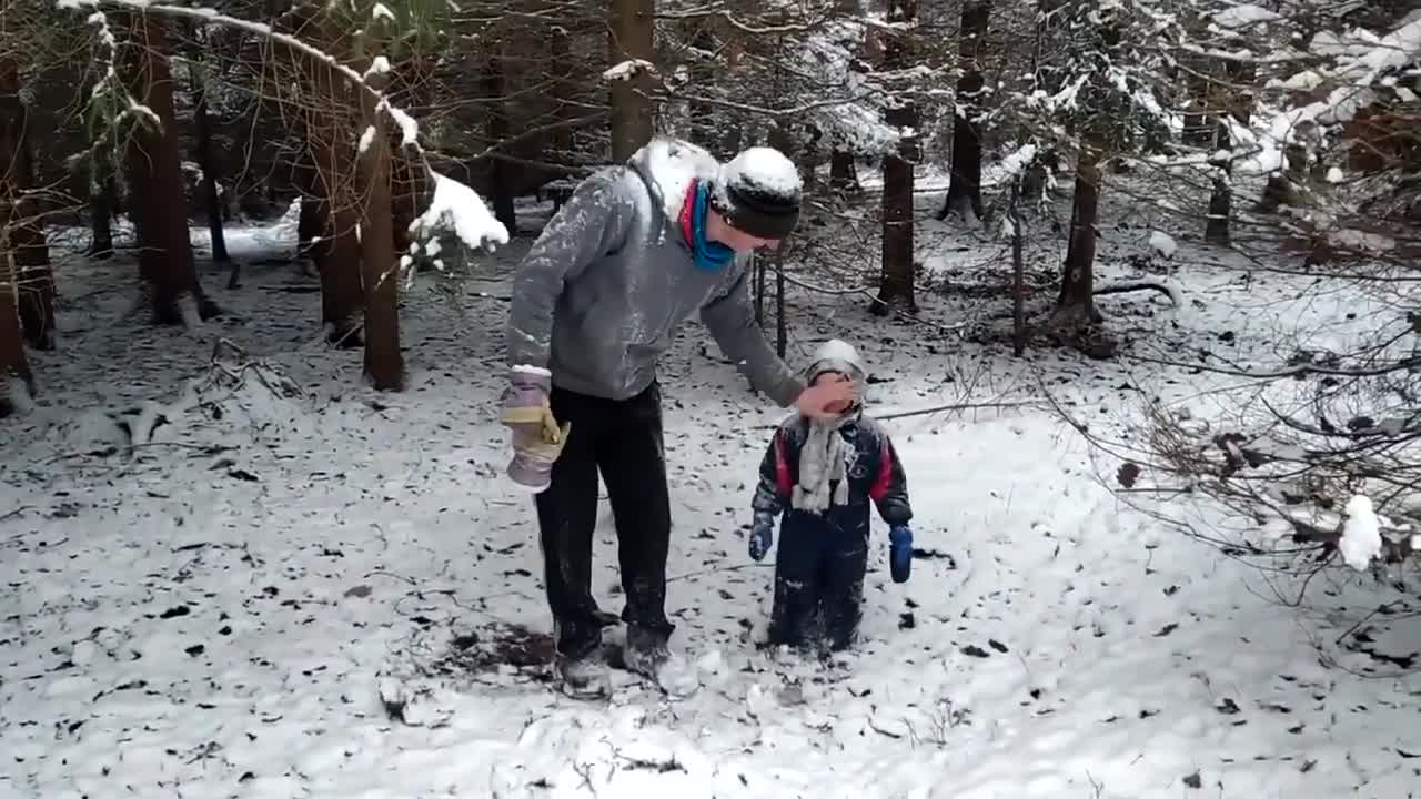 Kid Laughs Adorably as Snow Falls Down On Him From Tree