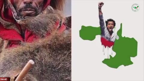 Oduu Galgala ONM-ABO Sadaasa 22-2024 itti dhiyaadhaa!