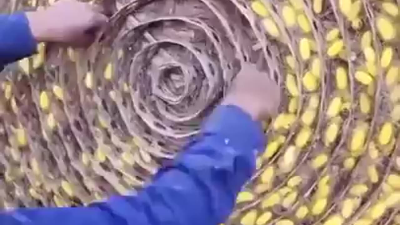 How silk is made