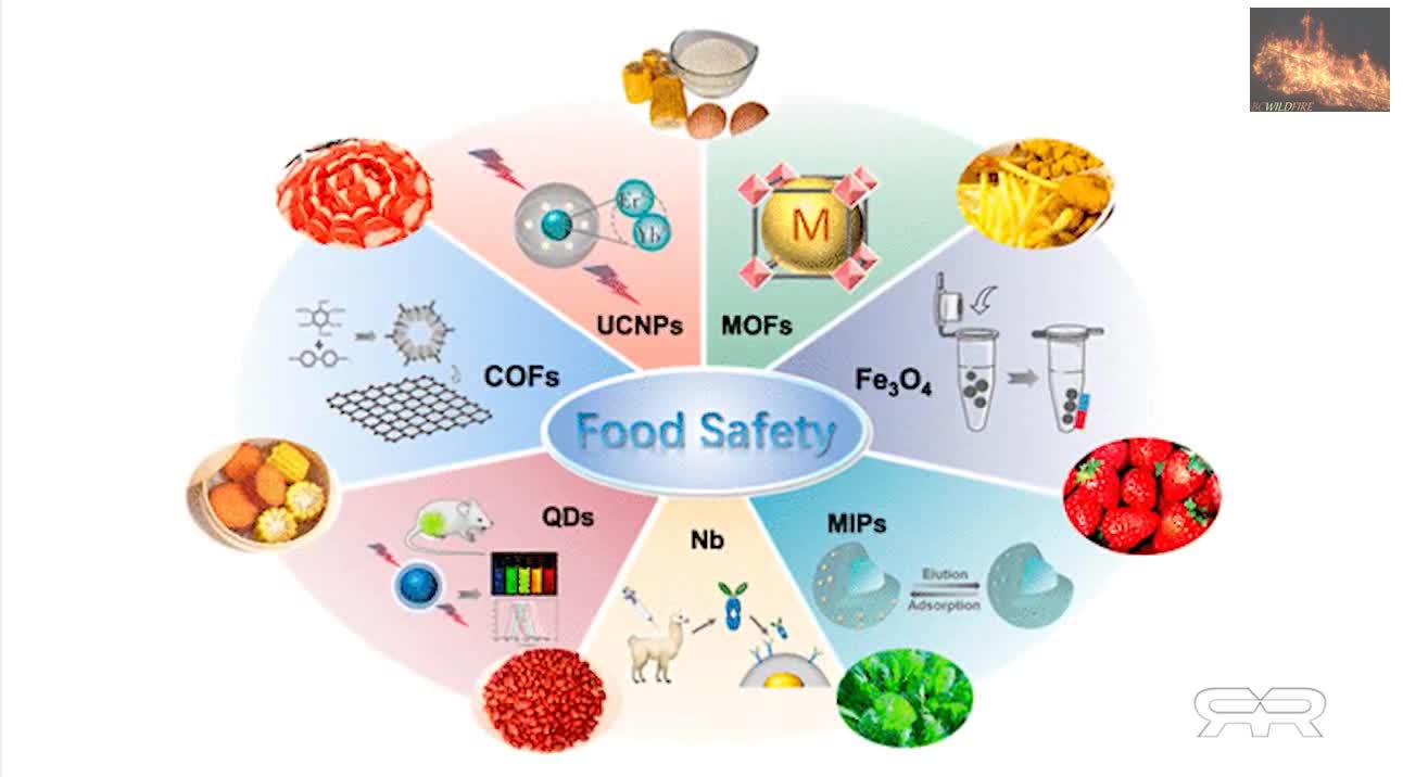 Nano Particles to Contaminate Entire Food Supply
