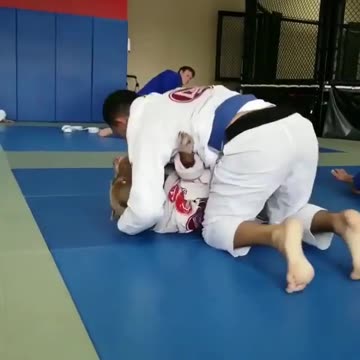 Training for UFC...