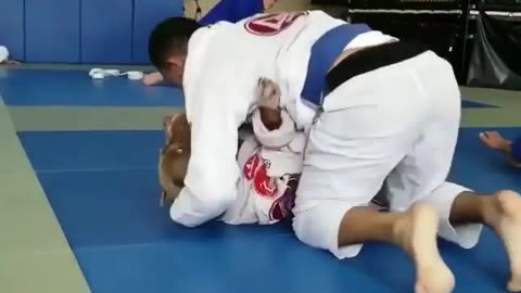 Training for UFC...
