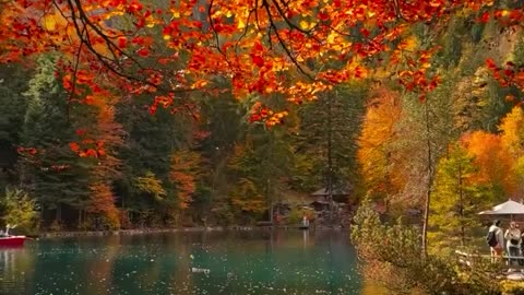 🍂 Embrace Autumn Vibes at Blausee: Nature's Colorful Symphony! 🌲