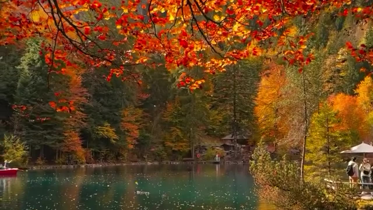 🍂 Embrace Autumn Vibes at Blausee: Nature's Colorful Symphony! 🌲