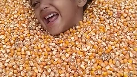 Baby tries to get out of corn