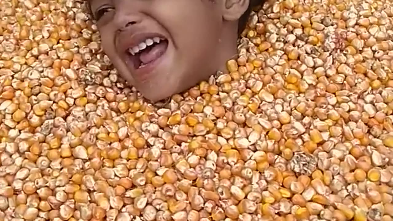 Baby tries to get out of corn