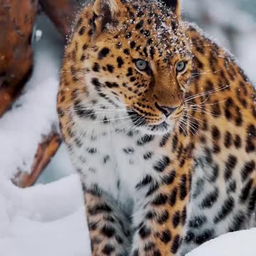 What a handsome man!