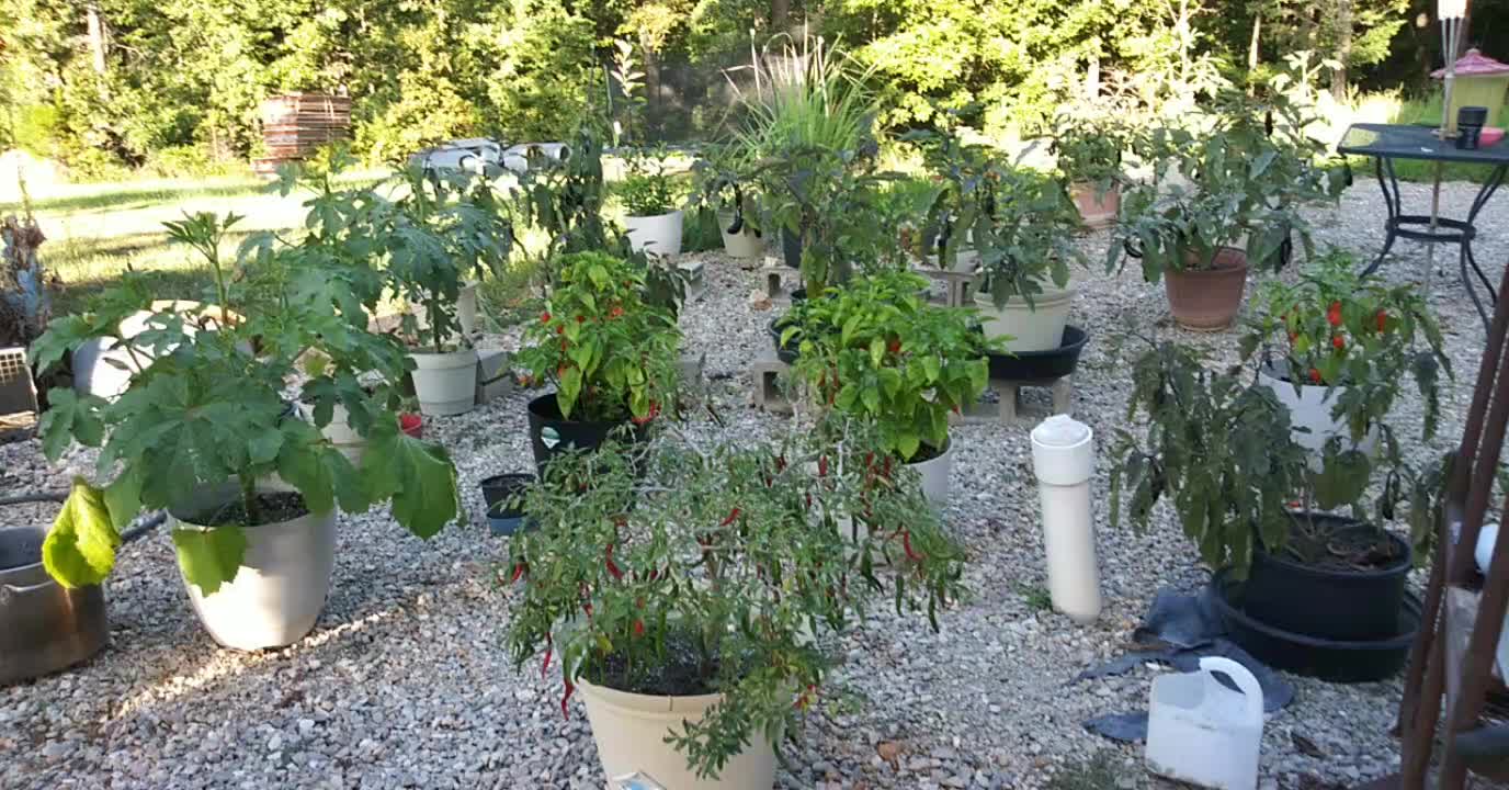 Hard work for good harvest.