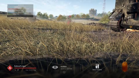 bf v