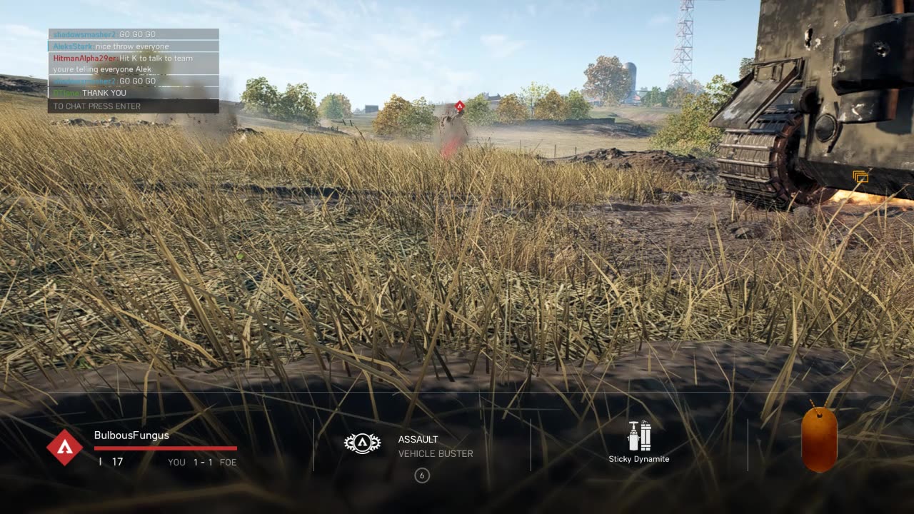 bf v