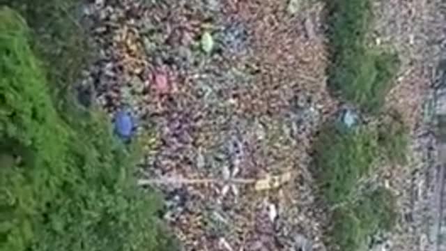 Brazilians Out In Massive Numbers Protesting Election Rigged Against Bolsonaro, Urge Military Action