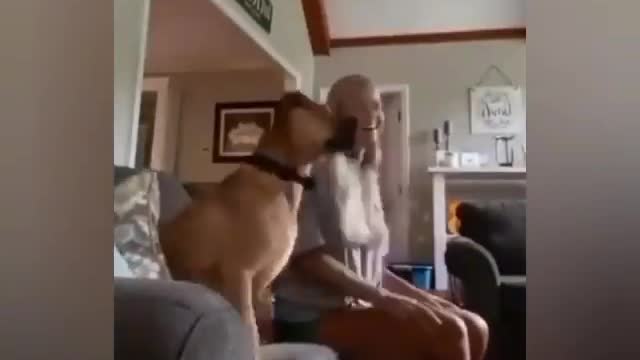 My dog is more of a fanatic than me.....!!!