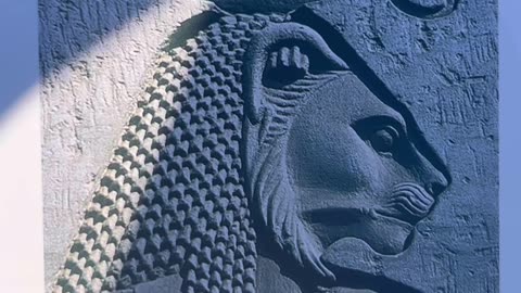 Where do you get your information