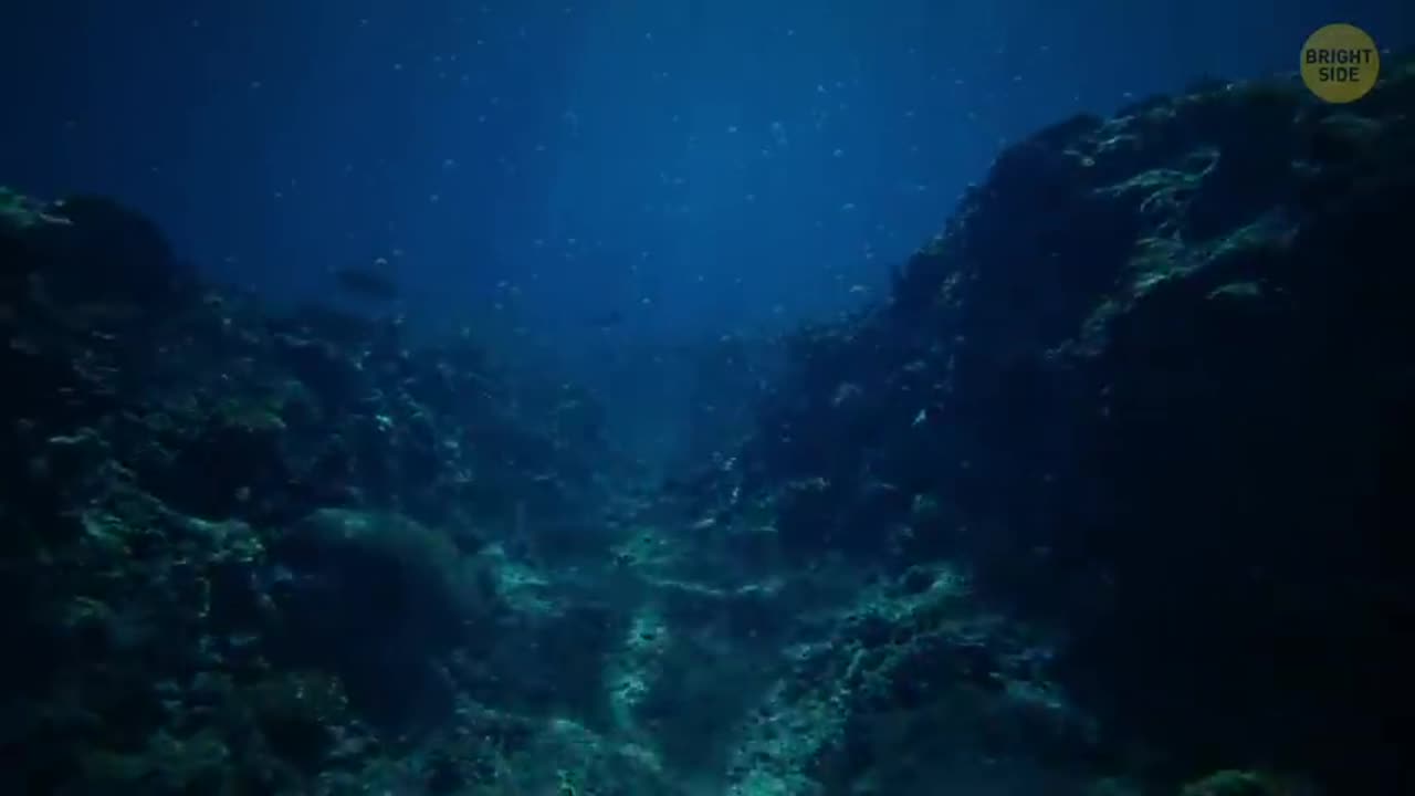 Scientists Discovered Mysterious Holes in Lake Michigan