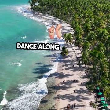 Mesmerizing Sunset Beach Sheep Frolic Adventure