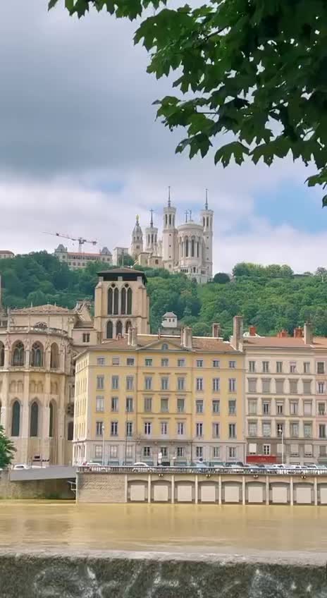 The effect of Covid passport in France