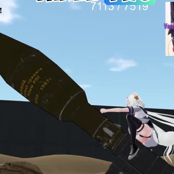 Cat girl going to war