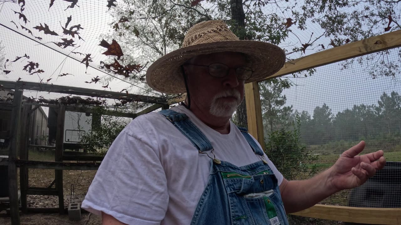 We added an automatic Chicken Coop Door