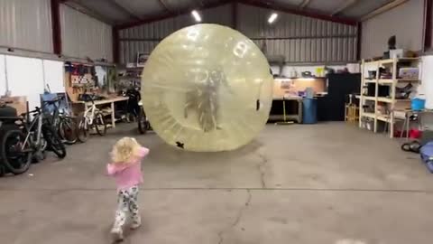 We Got A Giant Zorb Ball And The Dogs Go Crazy! Its Massive! (Phil’s Not Convinced!!)