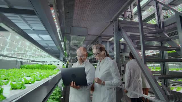 Hydroponic system