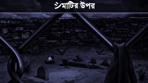 ইসলামিক ভিডিও