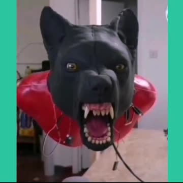 Künstliche Intelligenz - Hund