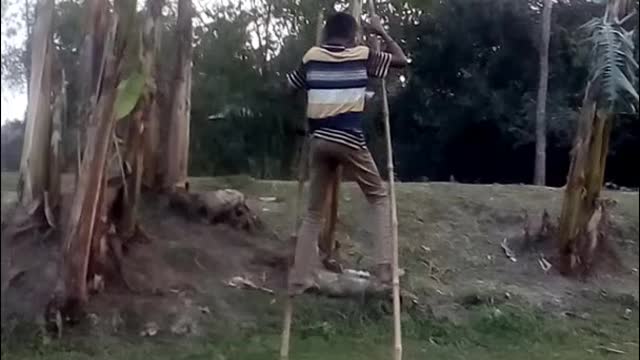 Walking with stick