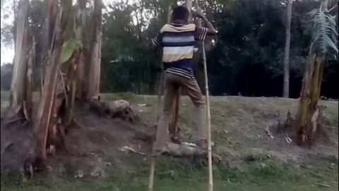 Walking with stick