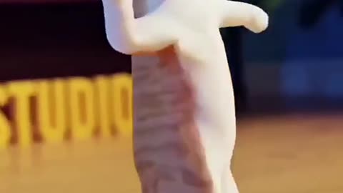 How is looking for dance CAT