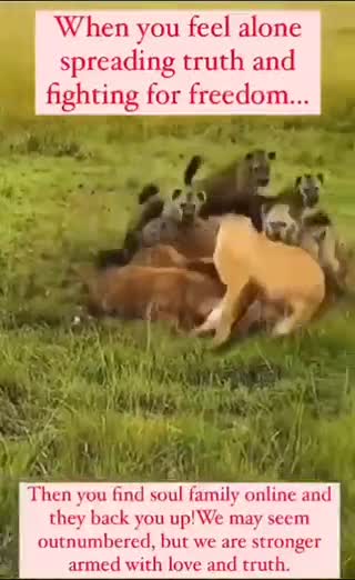 Bring Back The Anons. Let's Get This Party Started!!