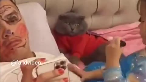 Cat is totally Traumatized after seeing Dad being painted by this little girl!!