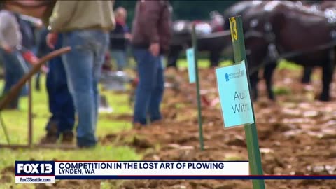 Competition in the lost art of plowing Gutfeld Fox News