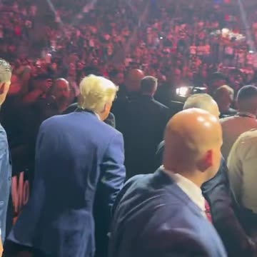 Audience in Las Vegas erupts in excitement as the 45th President enters the UFC 290 venue.
