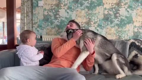 Adorable Jealous BABY Refuses To Let Husky Cuddle Dad!😭. [CUTEST VIDEO EVER!!!!!]