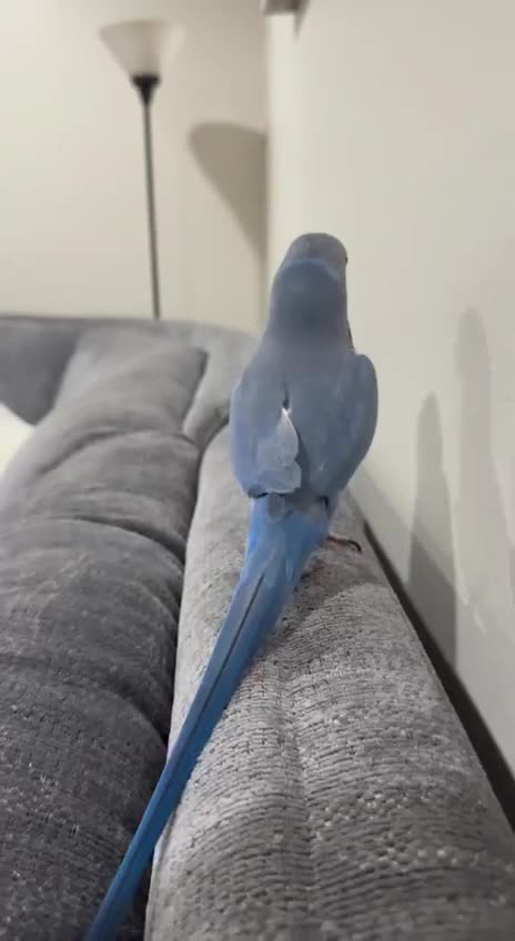 Nice pickup line 😂🤣