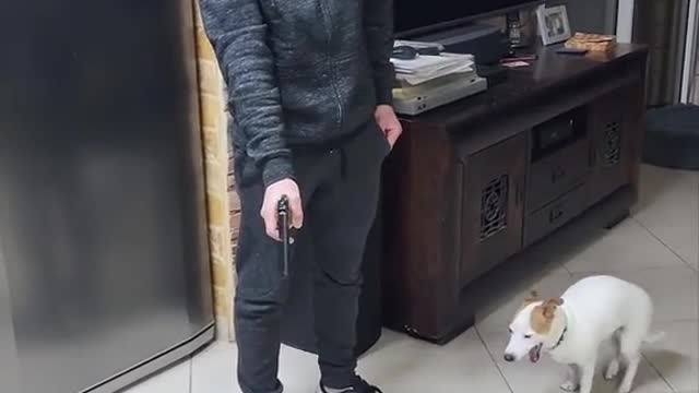#Dog # Funny