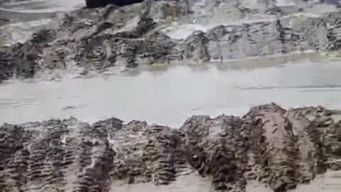 Ukraine's Mud Season is Not a Joke